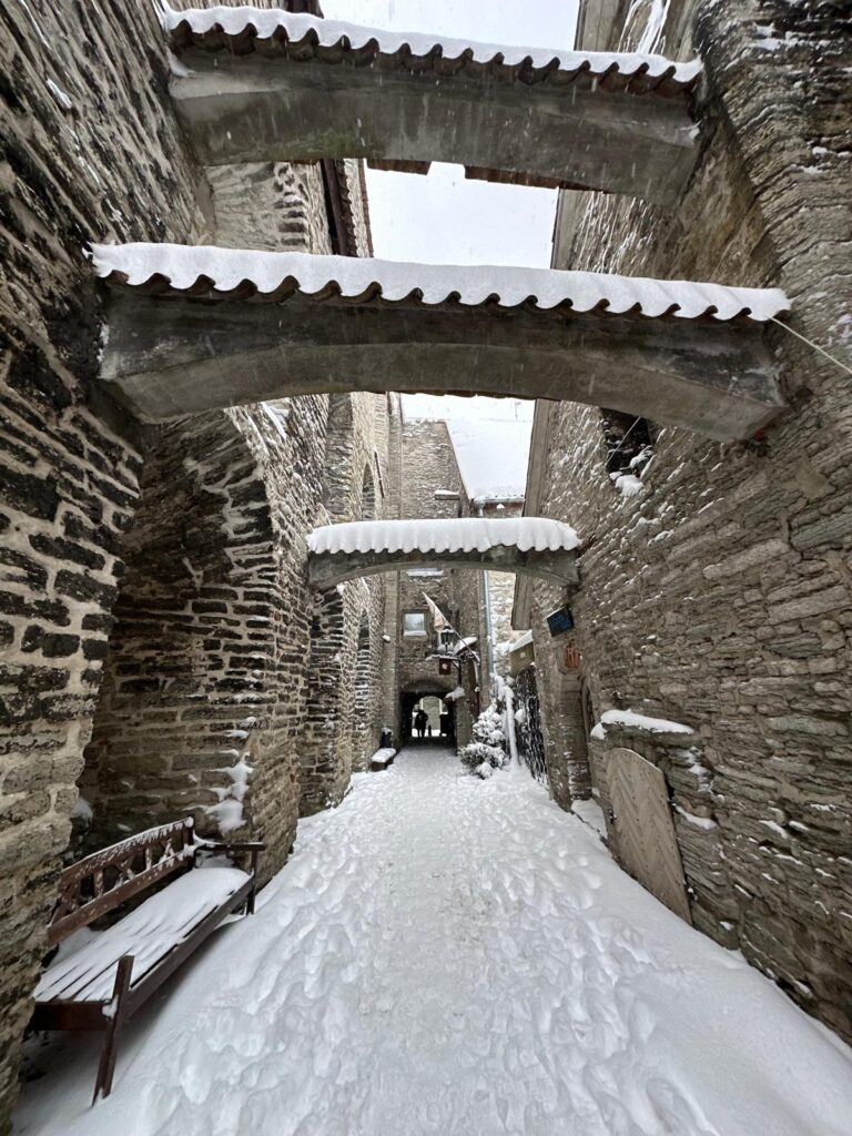 ''Estonya: Orta Çağdan Bir Hazine'' 05b6913c 6879 451c 90f5 5c620fb4f30d