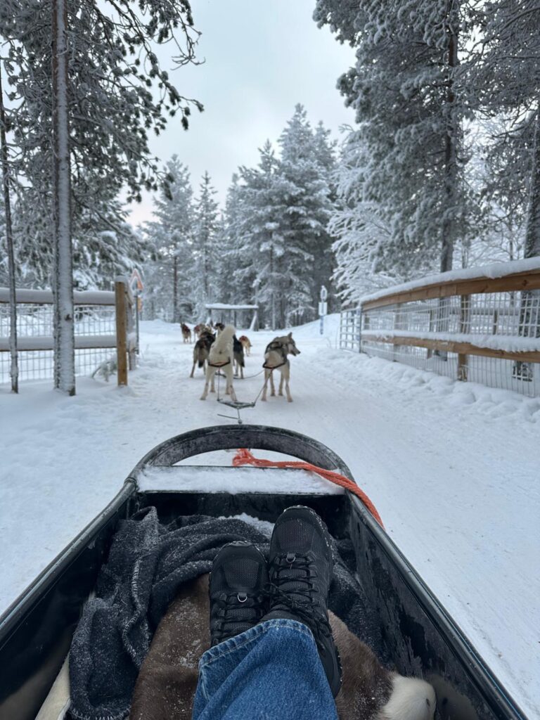 FİNLANDİYA: Kuzey Işıkları, Soğuk ve Medeniyet 0ca76a49 b0eb 445b af32 61fa45cd4912