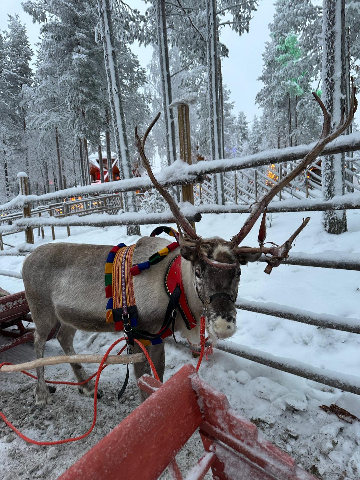 Ana Sayfa 288b823f 6ebb 4191 89e4 6ca91edc51fa