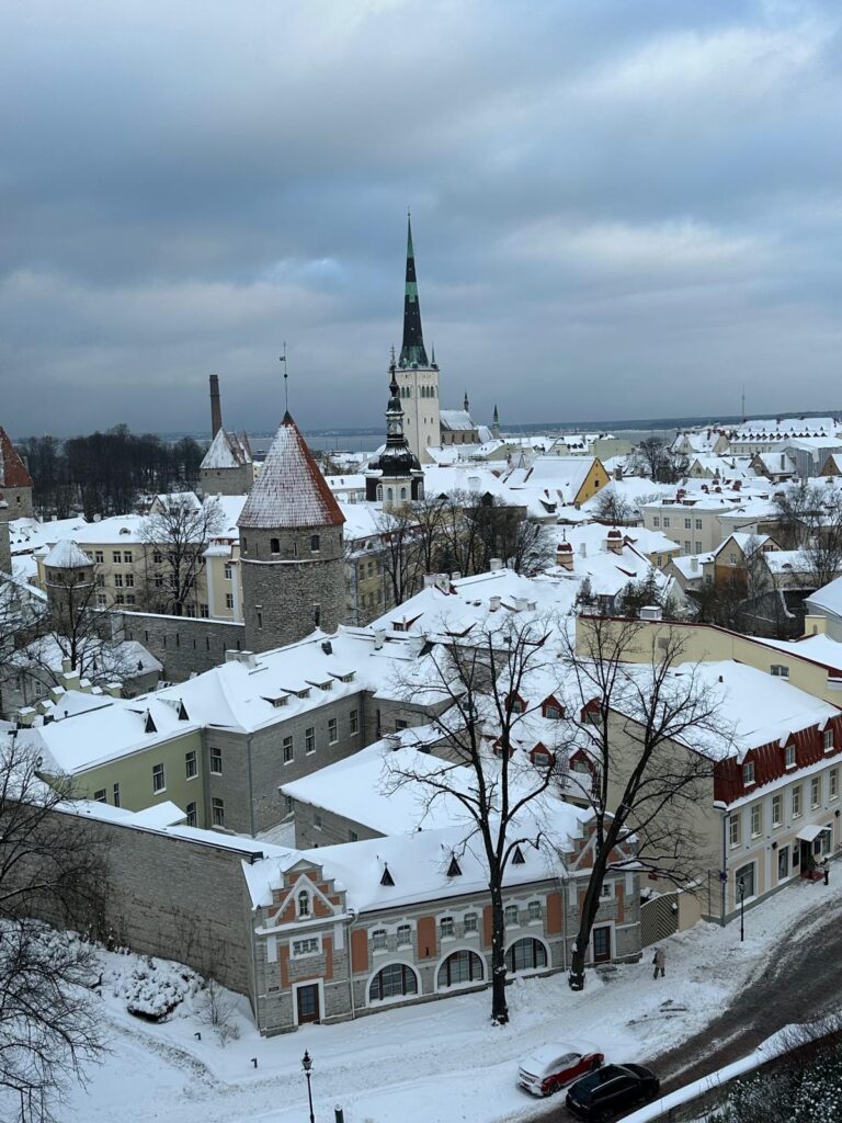''Estonya: Orta Çağdan Bir Hazine'' db8557aa fd00 4cd7 ba15 daca35b0a08b